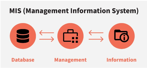 專業選擇之高薪專業盤點MIS-管理信息系統專業就業方向薪資水平詳解