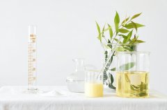 為什么越來(lái)越多的人愿意去新西蘭留學(xué)？去新西蘭留學(xué)有什么好處？